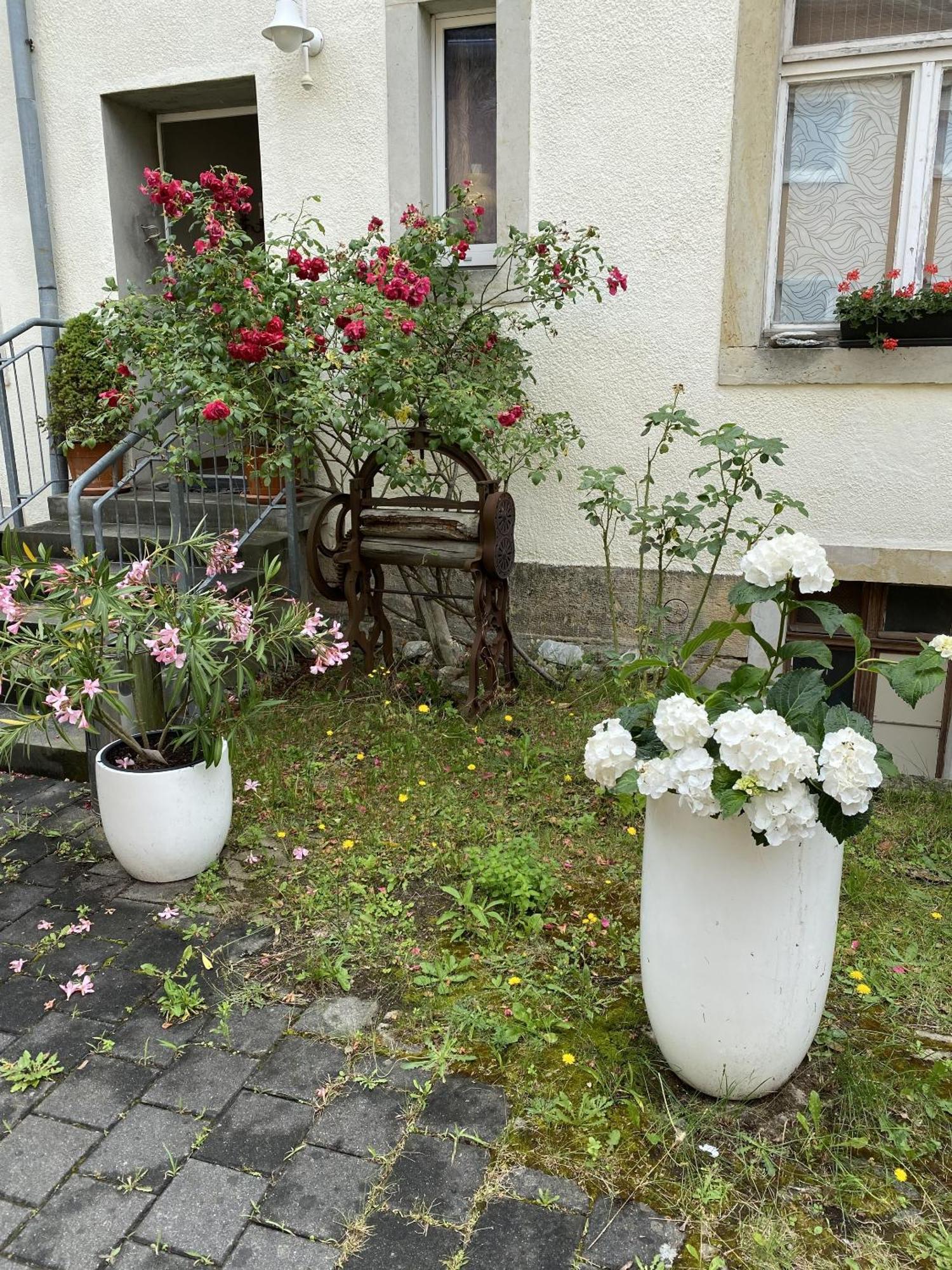 Apartments Und Zimmer Gaestehaus Matthias Dresde Extérieur photo