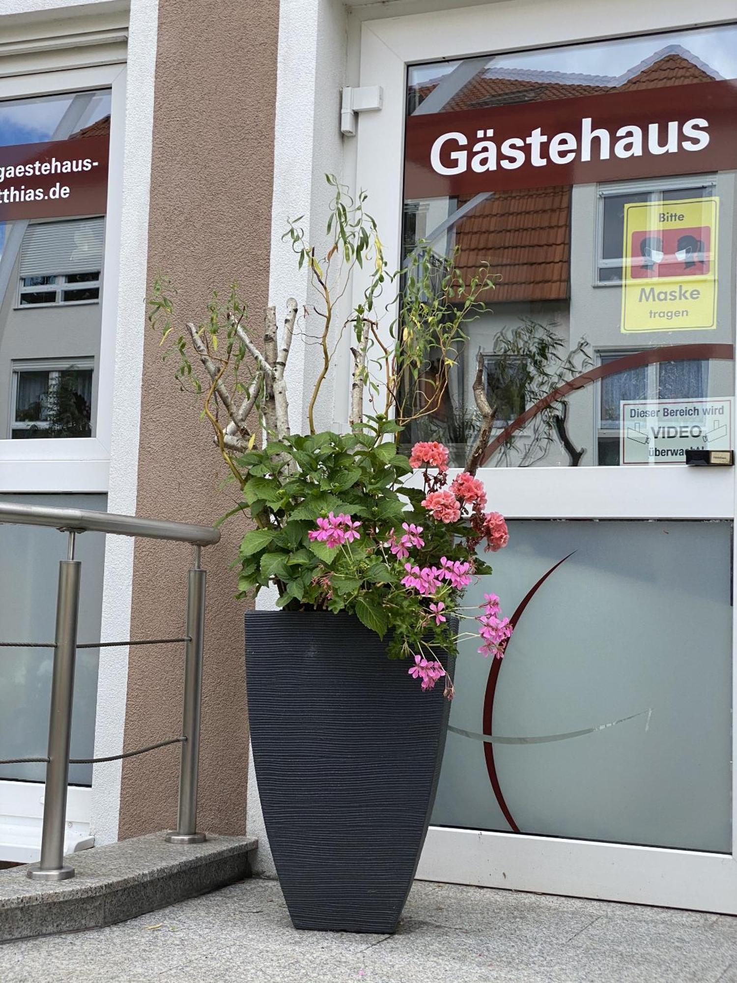 Apartments Und Zimmer Gaestehaus Matthias Dresde Extérieur photo